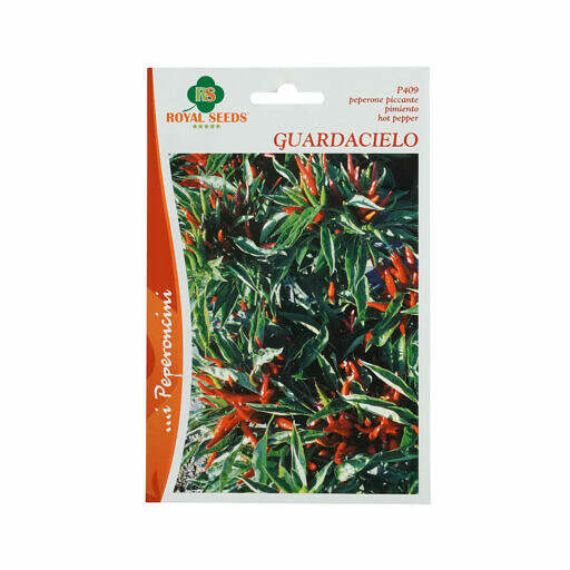 Chilifrön - Peperoncino guardacielo